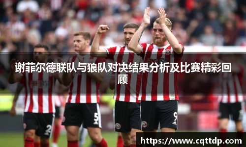 谢菲尔德联队与狼队对决结果分析及比赛精彩回顾